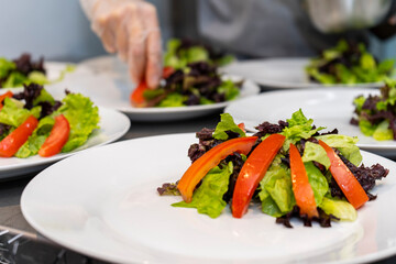chef preparing salad