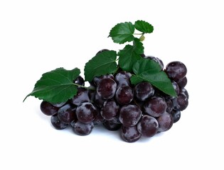 Sweet black grapes with green grape leaves isolated on white background.