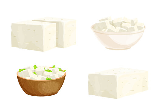 Set feta cheese pieces, tofu portion in bowl in cartoon style detailed ingredient isolated on white background. Greek curd white cheese made from sheep milk or milk bean. 