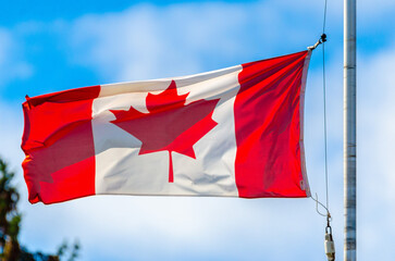 Canadian flag waving in the wind toward the left with blue sky
