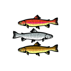 three different fish cut edge vector for logo suggestions