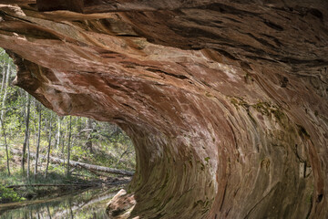 Coconino National Forest's geological formations on the trail 