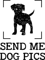 Dog Tshirt and Quotes Design