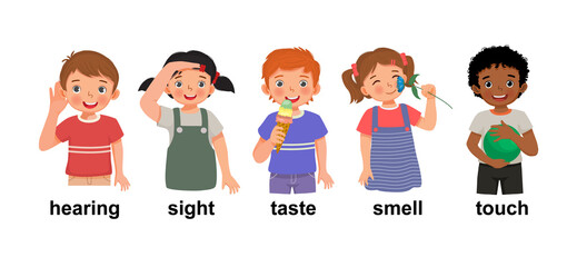 cute little children boys and girls showing five senses organs representing hearing, sight, taste, smell, touch as human body parts