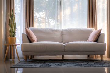 Grey sofa and cushions beside decorate with plant. Lighting from window.