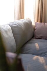Grey sofa and cushions beside decorate with plant. Lighting from window.