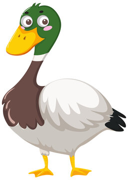 Duck cartoon character on white background