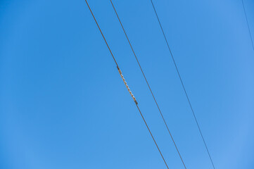 High voltage wires with a spiral coil against the blue sky. Twisted wire with white bondage. Industry. Electricity.