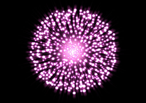 花火 Fireworks Magenta