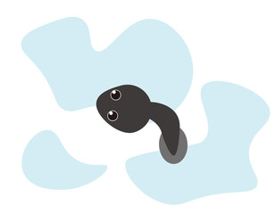 かわいいおたまじゃくし