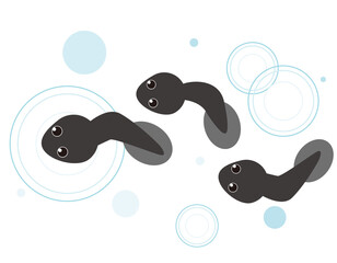 かわいいおたまじゃくし