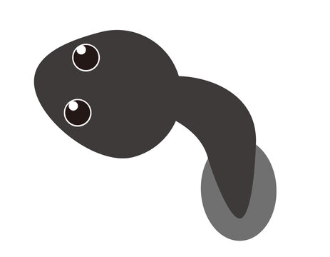 たまじゃくし の画像 103 件の Stock 写真 ベクターおよびビデオ Adobe Stock たまじゃくし の画像 103 件の Stock 写真 ベクターおよびビデオ Adobe Stock