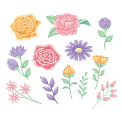 beautiful floral element collection 