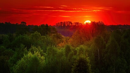 Fototapeta Wiosenny wschód słońca nad zielonym lasem obraz