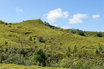 Fototapeta na wymiar plateau de toovii - ile de nuku hiva - iles marquises - polynesie francaise