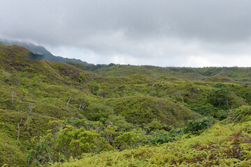 Naklejka premium Plateau de toovii - nukuk hiva - iles marquises - polynesie francaise