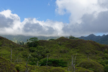 Fototapeta na wymiar Plateau de toovii - nukuk hiva - iles marquises - polynesie francaise
