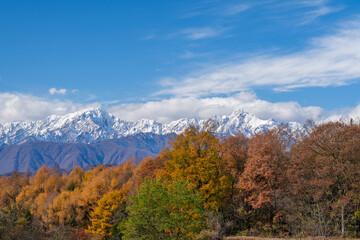 雪景色と紅葉