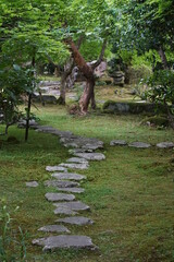新緑の洛北の栖賢寺の境内