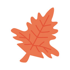 orange autumn leaf