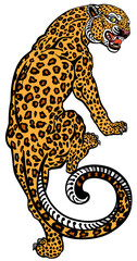 Aggressive leopard climbing up. Angry spotted panther. View from the back and head turned. Tattoo style vector illustration