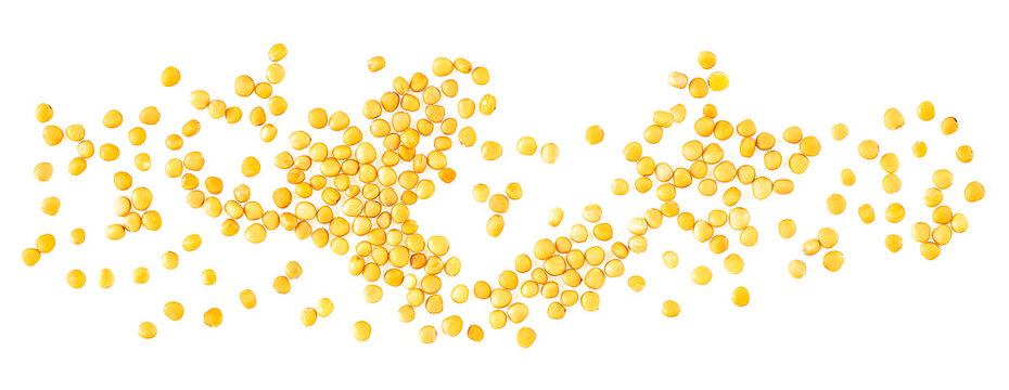 Yellow mustard seeds isolated on a white background, top view.