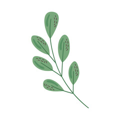 green branch with leafs