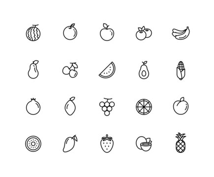 Various Fruit linear icons. Set of apple, kiwi, berry symbols drawn with thin contour lines. Vector illustration.