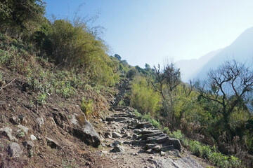 Fototapeta na wymiar Rocky trail steps with natural landscape of green mountain view- Annapurna Himalayan range, Nepal