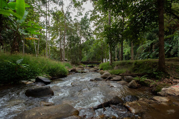 Asia, Erawan Waterfall, Kanchanaburi Province, Thailand, Forest