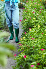 Gardener in rubber boots working watering garden from hose. Female hand watering the plants and...