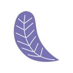 purple color leaf