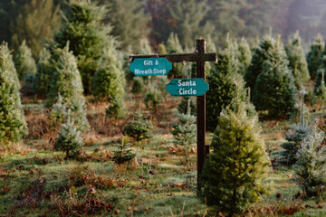 Santa's Circle - Christmas Tree Farm