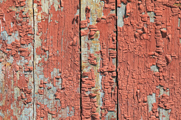Old wooden fence, painted with red paint. Faded in the sun surface for inscription, shabby fence (fencing). Ancient dilapidated surface with peeling paint. Red color wooden texture and background