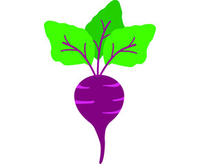 Garden beet icon. Vector icon isolated on white background