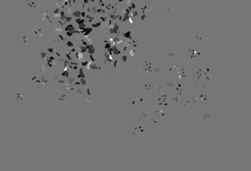 Obraz premium Light Black vector background with abstract forms.