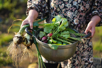 	収穫した野菜を持つ女性