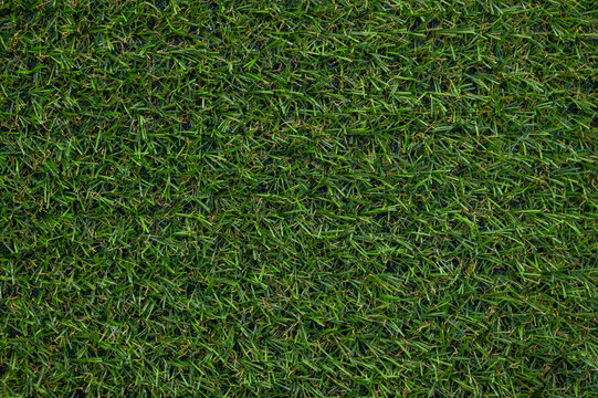 Artificial grass background. Full frame shot of turf