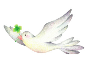 四つ葉のクローバーをくわえて羽ばたく白い鳥　手描き色鉛筆画
