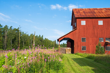 Plakat Railway embankment with Fireweed flowers and a red barn