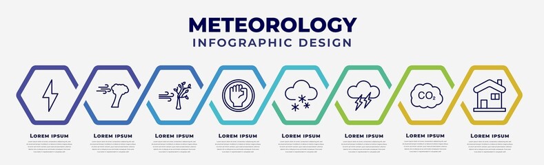 vector infographic design template with icons and 8 options or steps. infographic for meteorology concept. included thunder, wind and bent fir, wind and bend trees, revolution, snoflakes winter