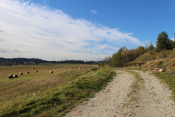 Fototapeta premium landscape in the mountains