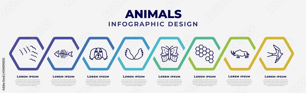 Poster vector infographic design template with icons and 8 options or steps. infographic for animals concep