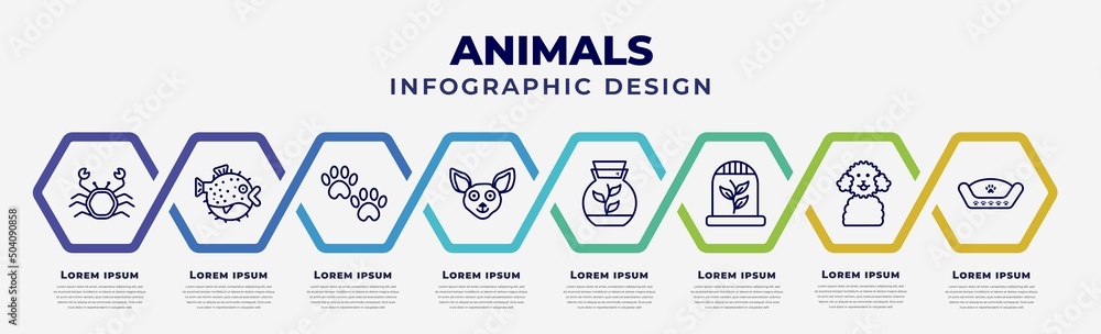 Poster vector infographic design template with icons and 8 options or steps. infographic for animals concep