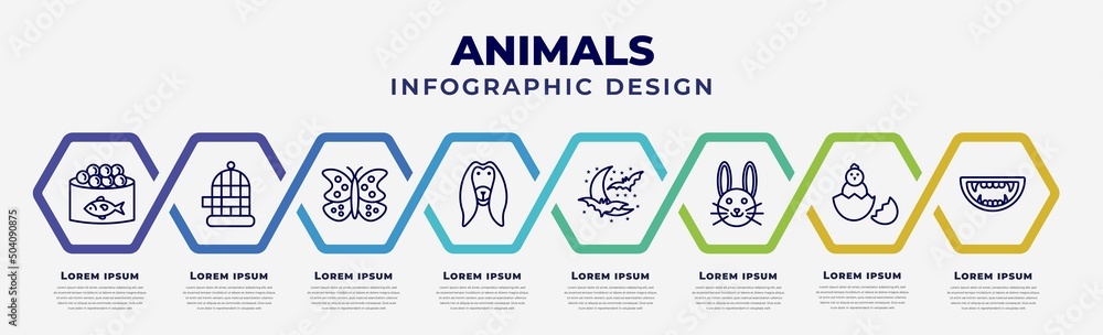 Poster vector infographic design template with icons and 8 options or steps. infographic for animals concep