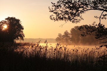 Sunrise over a lake on a foggy spring day