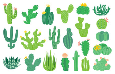 Cactus plant. Cartoon decorative exotic succulent, tropical desert plant. Vector mexican aloe isolated set - obrazy, fototapety, plakaty