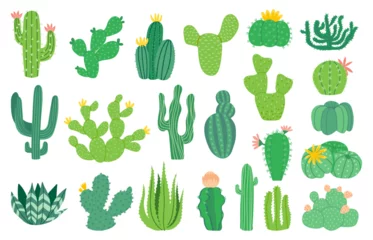 Foto op Canvas Cactusplant. Cartoon decoratieve exotische sappige, tropische woestijnplant. Vector Mexicaanse aloë geïsoleerde set © Tartila