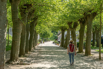 Woman with brown hair, gray t-shirt, jeans, red backpack and straw hat hiking at a avenue with large trees at Staatspark Fürstenlager, Auerbach, Bensheim, Germany