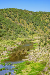 Fototapeta na wymiar Clean river flows among green hills in Springtime. This is the Salor River in Extremadura, Spain